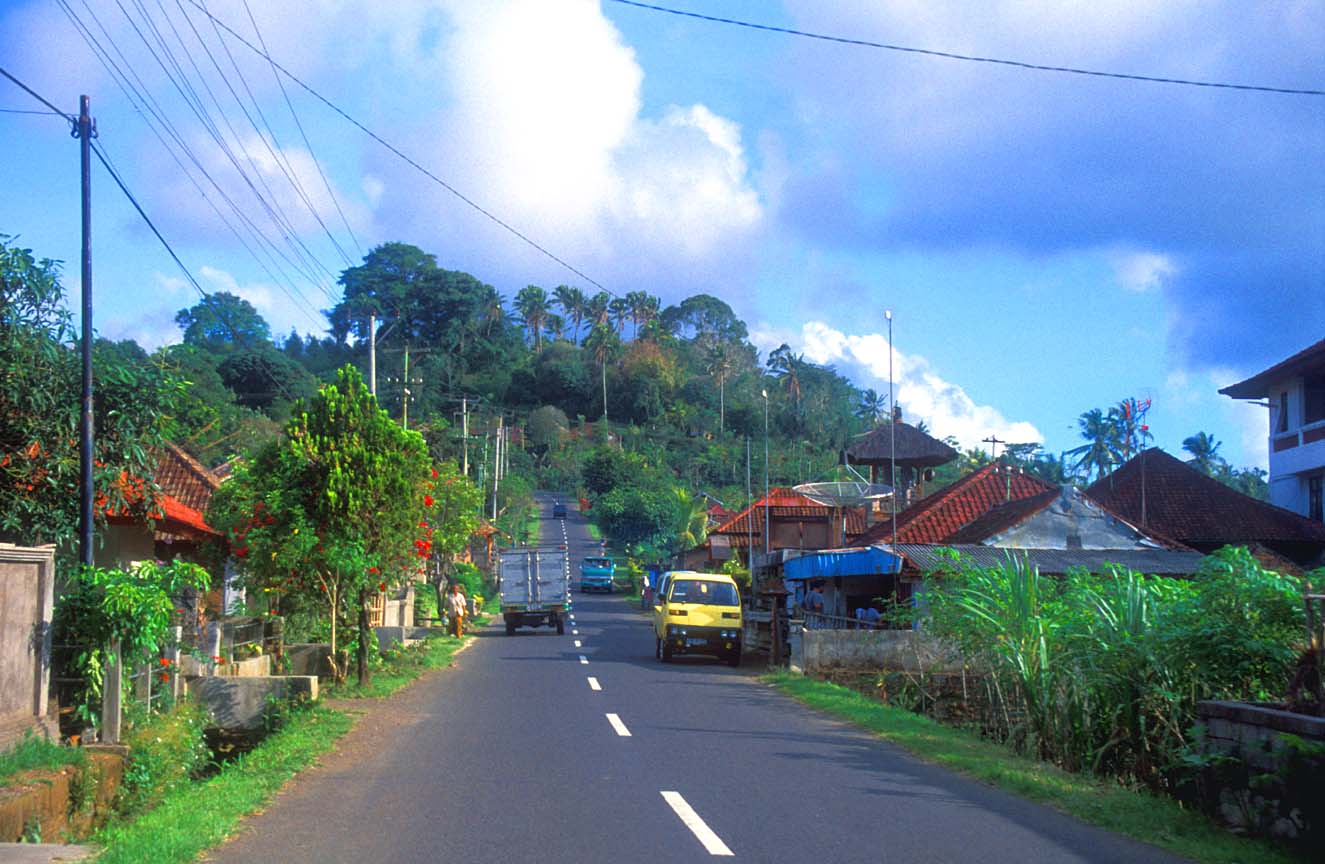 Porno foto mushuk forum